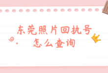 东莞照片回执号怎么查询-证件照家园