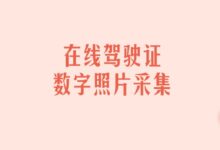 在线驾驶证数字照片采集-证件照家园