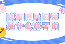 数码照片回执是什么样子的-证件照家园