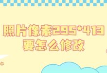 照片像素295*413要怎么修改-证件照家园