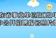 广东省事业单位2024年集中公开招聘报名照片要求-证件照家园