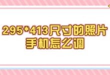 295*413尺寸的照片怎么调手机-证件照家园